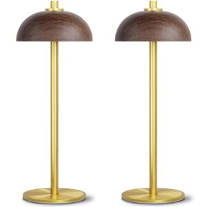 JONEMO 2 Pack Cordless Table Lamp. 5000mAh Portable Rechargeable Table Lamp. 3 Color Stepless Dimming Table Light with Memory Function. for Outdoor. Dinner. Patio. Home. Restaurant.(Wood Grain)