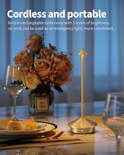 NEWSEE Modern Cordless Table Lamp Set of 2. Portable LED Desk Lamps. 5000mAh Rechargeable Battery Operated Lighting for Bedroom Dining Room Restaurant Coffee Shop Camping Night Light (Gold)