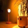 Fisura Sunset Lamp with 16 Colours Orange Sunset Lamp Relaxing LED Lamp Romantic Lamp with USB Cable Original Lamp Gift 26.5cm x 10cm