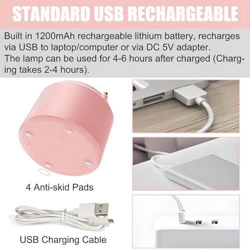 DLHONORV Cute LED Desk Lamp Kawaii Desk Accessories. Flower Bird Table lamp USB Rechargeable. 3 Color Modes. Stepless Dimming. Touch-Sensitive Switch Kawaii Room Decor Lamp. Reading Lamp (Pink)