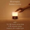 Smilodon Timer Night Light.Dimmable LED Bedside Lamp.Night Light Kids and Baby Nursery.Woodgrain.Sleep Aids Light.Rechargeable.Battery Operated