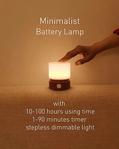Smilodon Timer Night Light.Dimmable LED Bedside Lamp.Night Light Kids and Baby Nursery.Woodgrain.Sleep Aids Light.Rechargeable.Battery Operated