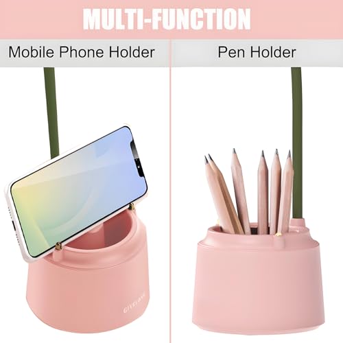 DLHONORV Cute LED Desk Lamp Kawaii Desk Accessories. Flower Bird Table lamp USB Rechargeable. 3 Color Modes. Stepless Dimming. Touch-Sensitive Switch Kawaii Room Decor Lamp. Reading Lamp (Pink)