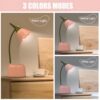 DLHONORV Cute LED Desk Lamp Kawaii Desk Accessories. Flower Bird Table lamp USB Rechargeable. 3 Color Modes. Stepless Dimming. Touch-Sensitive Switch Kawaii Room Decor Lamp. Reading Lamp (Pink)