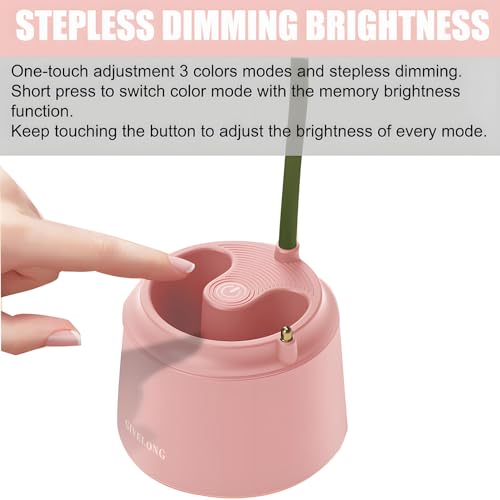 DLHONORV Cute LED Desk Lamp Kawaii Desk Accessories. Flower Bird Table lamp USB Rechargeable. 3 Color Modes. Stepless Dimming. Touch-Sensitive Switch Kawaii Room Decor Lamp. Reading Lamp (Pink)