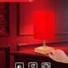 Red Light Night Light Lamp for Sleep. 670nm Red Nightlight Desk Lamp for Bedroom with Multi-Color and Brightness Options Remote Control USB Charging Elegant Design