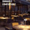 TORCHSTAR LED Rechargeable Table Lamps. Dimmable Cordless Outdoor Table Lamp for Restaurant Hotel. 4000mAh Battery Operated Portable Desk Lamp Commercial. 2700K. Hidden Charging Port. White. Pack of 2